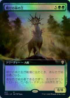 明けの林の主(拡張)