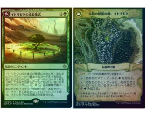 イトリモクの成長儀式