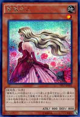 遊戯王 薔薇恋人 シークレット トレカの激安通販トレトク 公式 遊戯王 薔薇恋人 シークレット トレカの激安通販トレトク 公式
