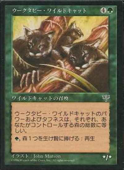 ウークタビー・ワイルドキャット