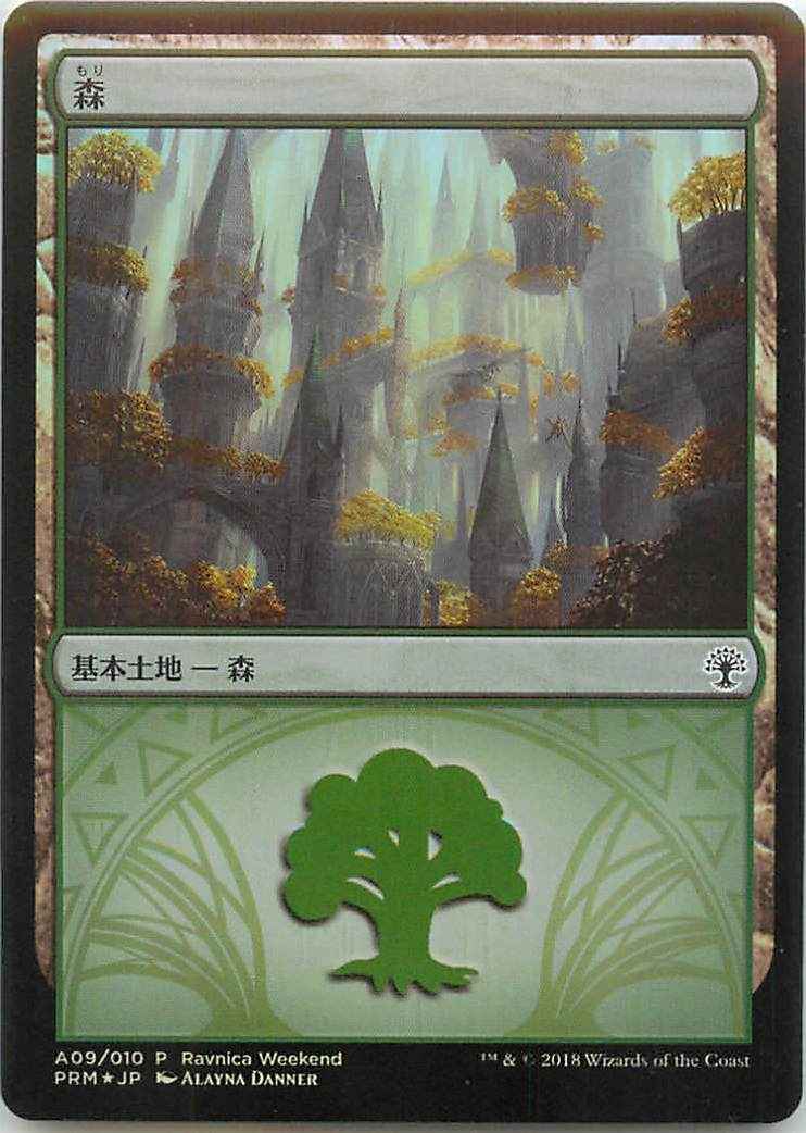 森