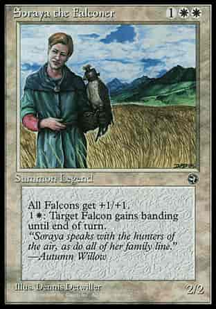 Soraya the Falconer