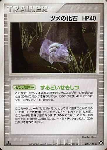 ツメの化石