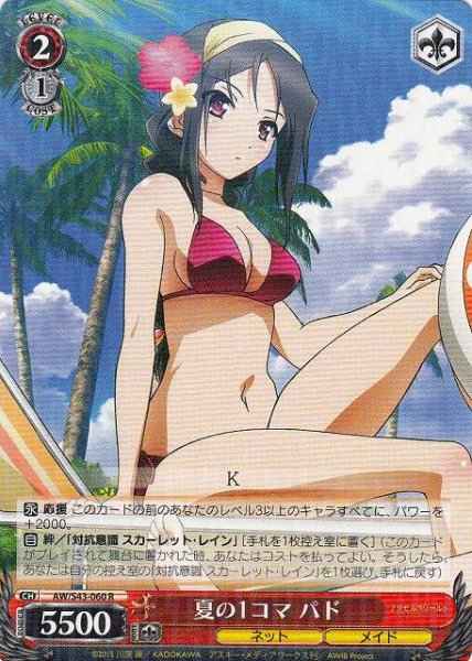 夏の1コマ パド