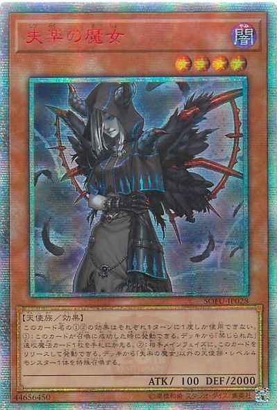 失楽の魔女 アジア版 SOFU-JP028 ...