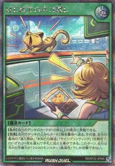 はじめてのネコ探し