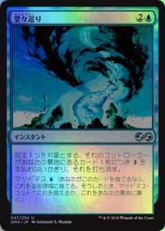 堂々巡り