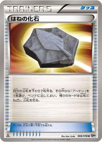 はねの化石