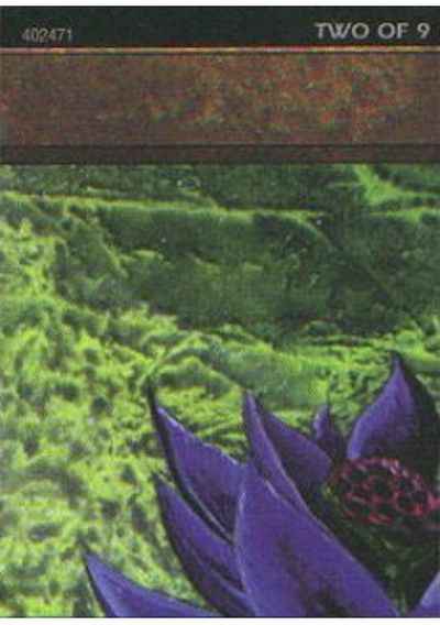 Black Lotus ウルトラプロパズル...