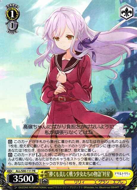 “儚くも美しく戦う少女たちの物語...