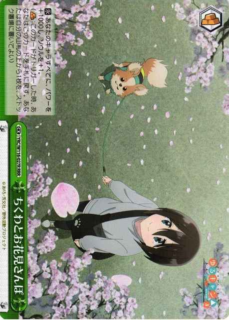 ちくわとお花見さんぽ