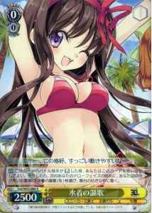 水着の謳歌