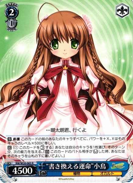 “書き換える運命”小鳥