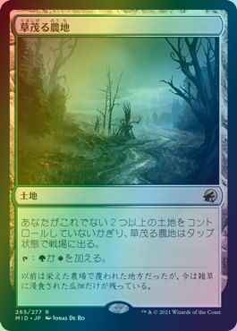 草茂る農地