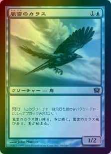 嵐雲のカラス