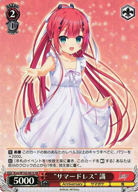“サマードレス” 識