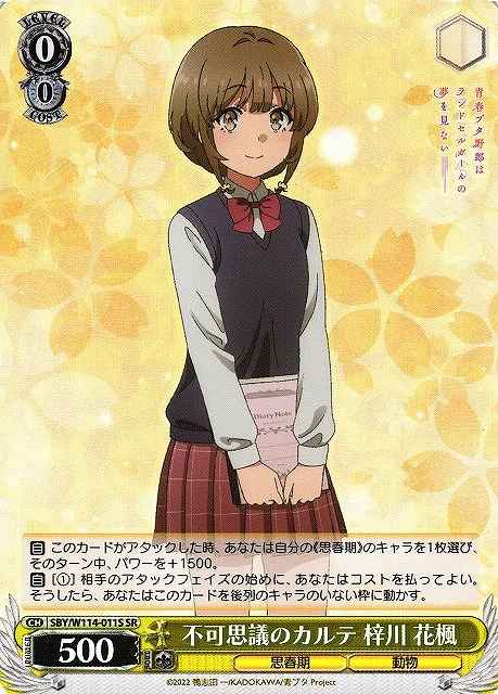 不可思議のカルテ 梓川 花楓