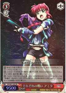 それぞれの戦い アミタ