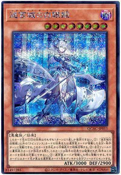 迷宮城の白銀姫