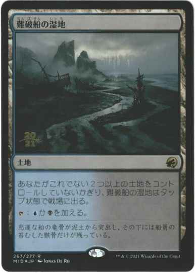 難破船の湿地