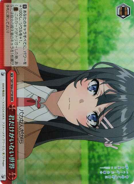 君だけがいない世界