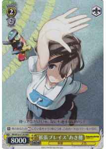 “拡張プレイス”あき穂