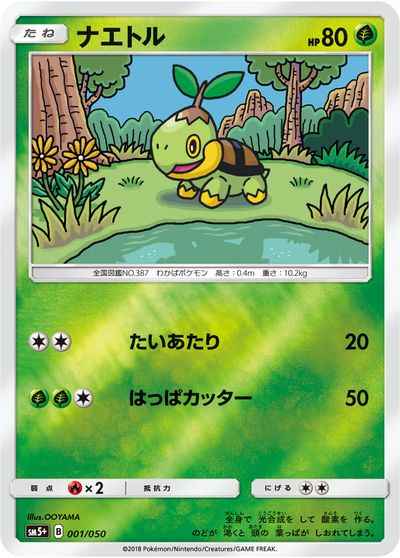 ナエトル(キラ)