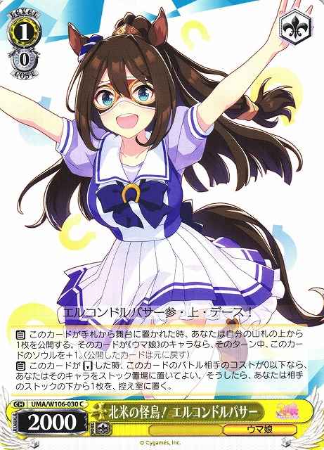 北米の怪鳥！ エルコンドルパサー