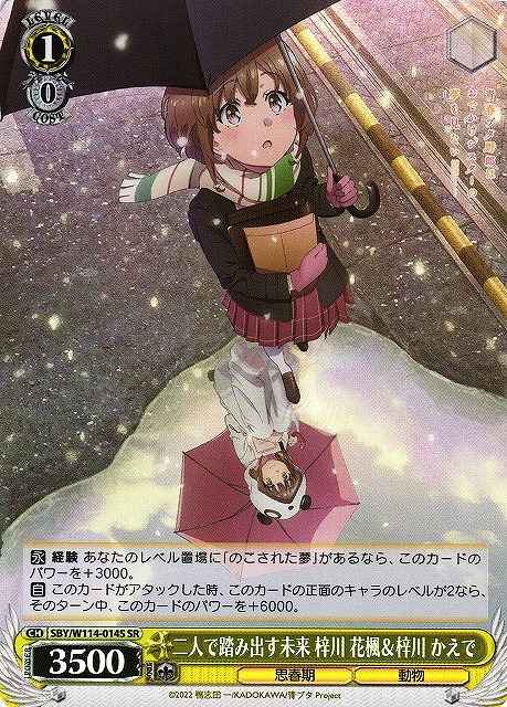 二人で踏み出す未来 梓川 花楓＆...
