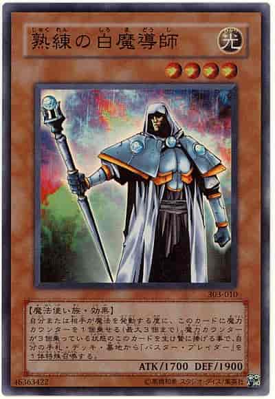 熟練の白魔導師