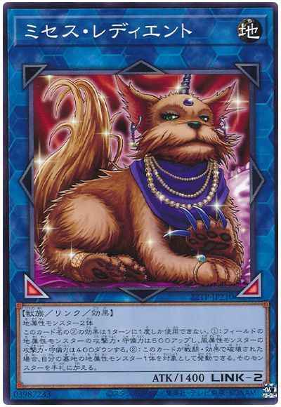 ミセス・レディエント