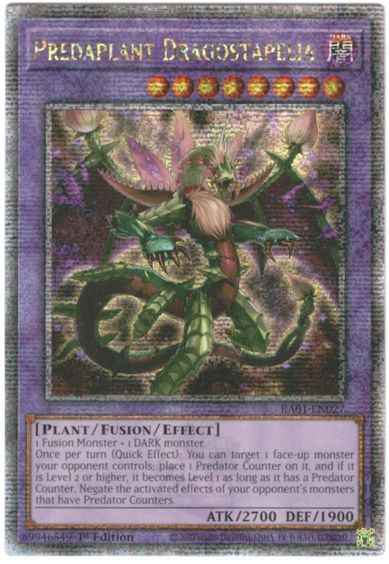 捕食植物ドラゴスタペリア 英語版...