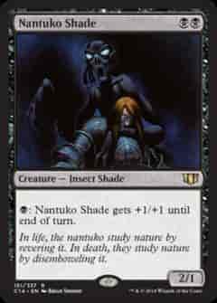 ナントゥーコの影