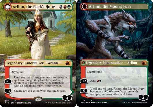 群れの希望、アーリン(ボーダーレス)