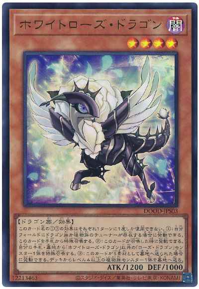 ホワイトローズ・ドラゴン