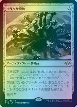 イラクサ嚢胞