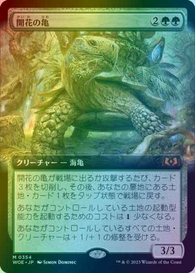 開花の亀(拡張)
