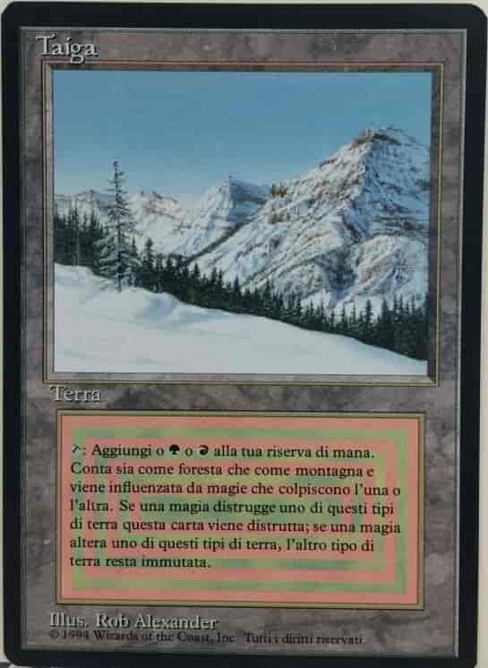 Taiga(黒枠)