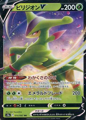 ビリジオンV