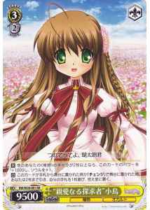 “親愛なる探求者”小鳥