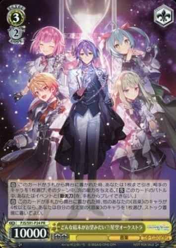 どんな結末がお望みだい？/星空オ...