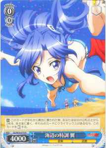 海辺の特訓 翼