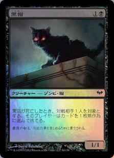 黒猫
