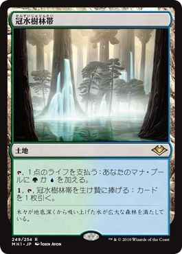 冠水樹林帯