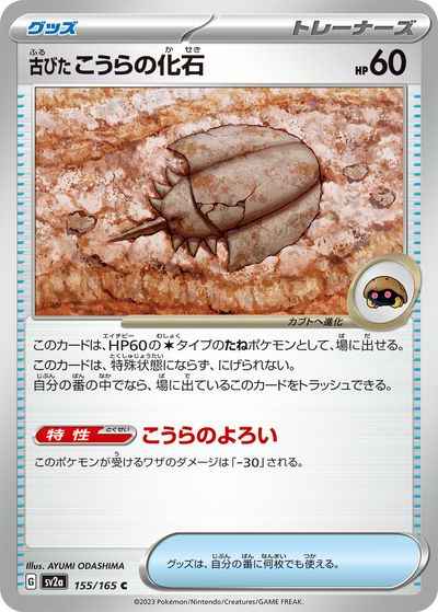 古びたこうらの化石