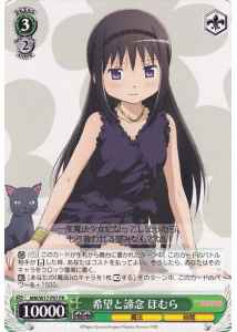 希望と諦念 ほむら