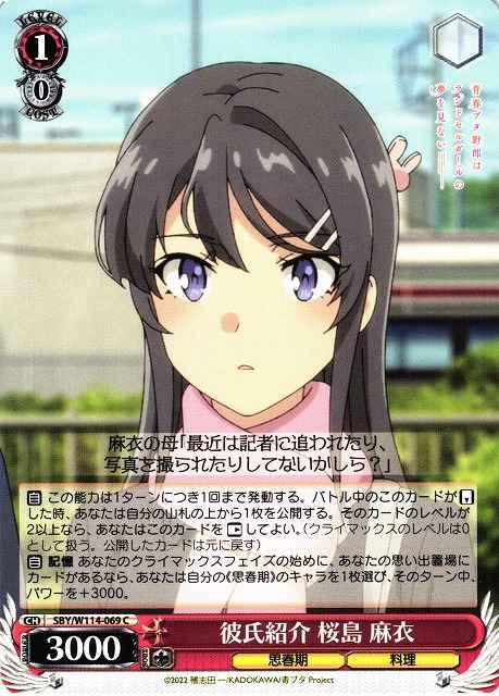 彼氏紹介 桜島 麻衣