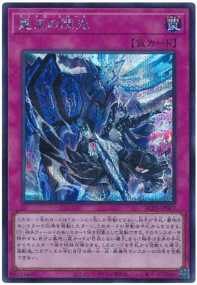 霆王の閃光