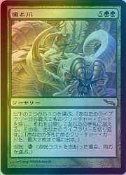 歯と爪