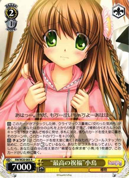 “最高の祝福”小鳥